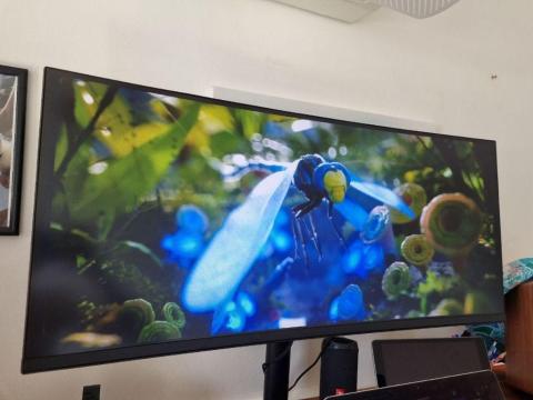 Monitor 34" 21:9 1440p VA 100hz Curved
